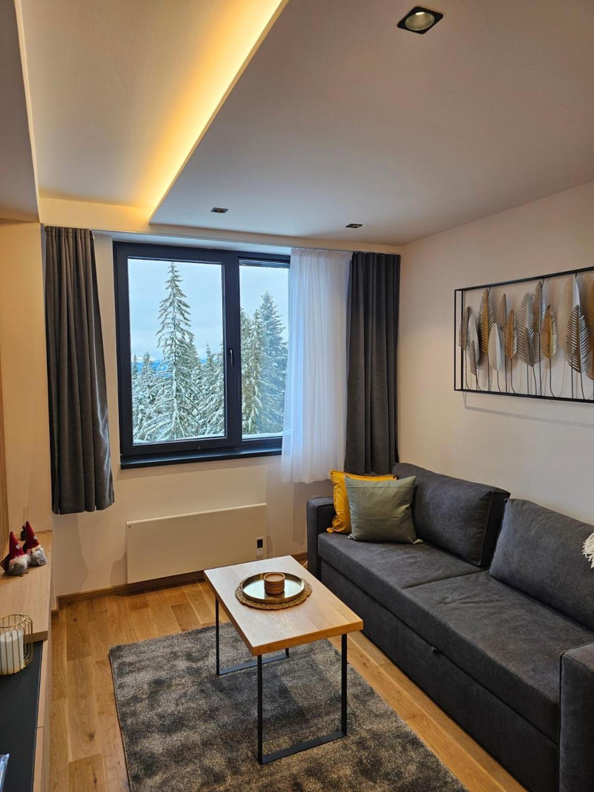 Apart Hotel Zlatni Javor, Apartment 410 Jahorina Bagian luar foto